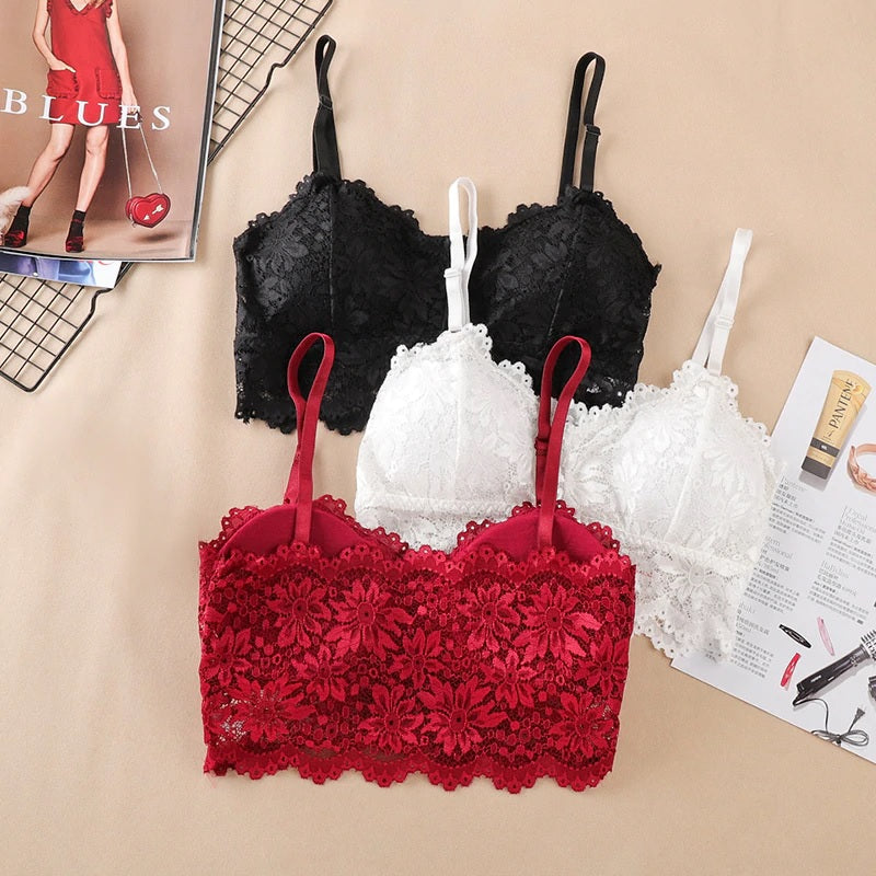 Fancy Lace Net Padded Bra (ART-623)