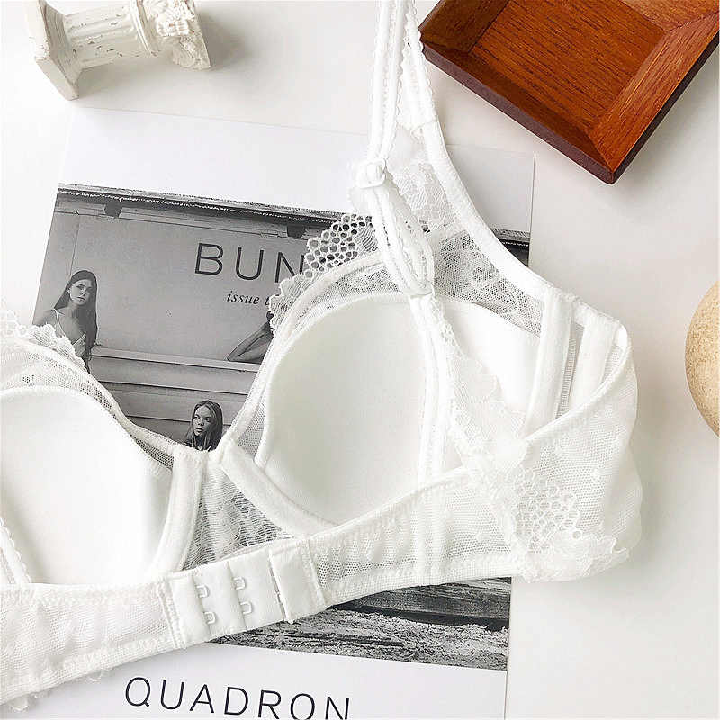 Lace Net Wired Bra & Panty Set