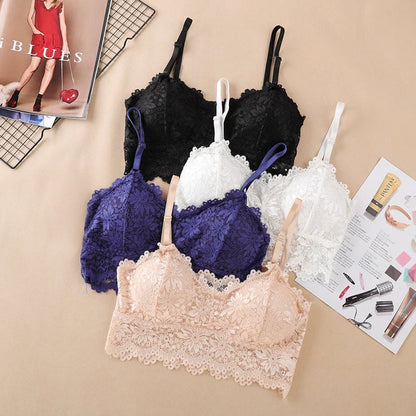 Fancy Lace Net Padded Bra (ART-623)