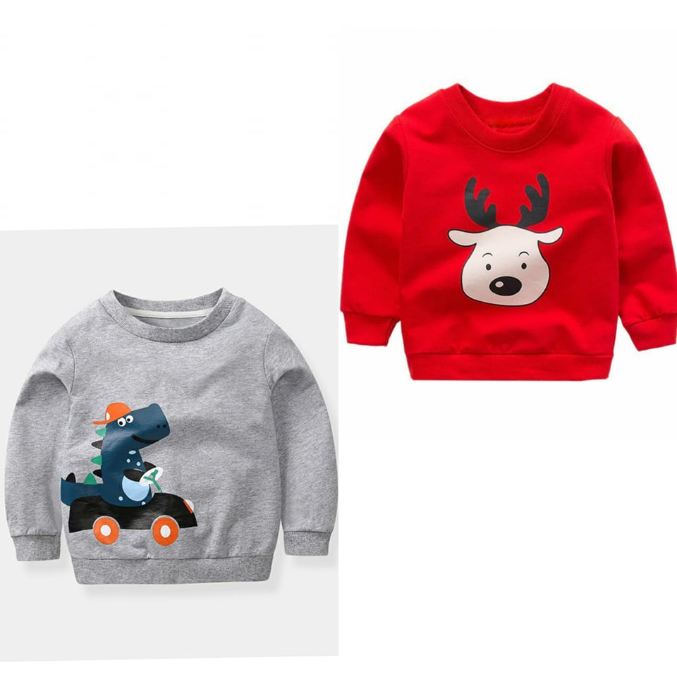 Pack of 2 Printed Sweat Shirts for Kids
